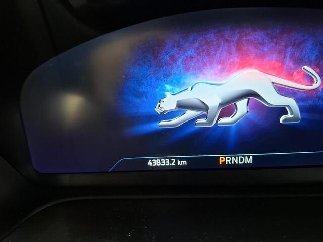 Ford PUMA 125pk Eco Hybrid ST-Line Automaat Panoramadak Navi Winter pack Parkeersensoren Dealeronderhouden