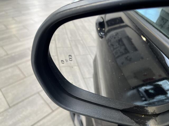 Ford PUMA EcoBoost 155 pk Hybrid ST-Line | Trekhaak | Winter Pack | Adapt. Cruise | Pano | 19"LM velgen | Elektr. achterklep | fabr. gar. tm 12/2028 |