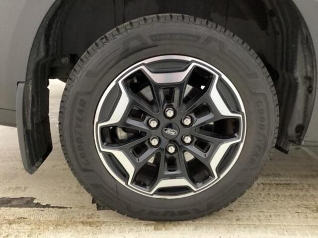 Ford TRANSIT CUSTOM Tourneo 340 2.5 PHEV L2H1 Active 233pk | Adaptieve Cruise | Stuurverwarming | 8 Pers | Prijs incl. BTW en BPM | Wegklapbare Trekhaak | Dubbele Schuifdeur | BLIS | B&O Audio | Verlengde Fabrieksgarantie tot 06-2029