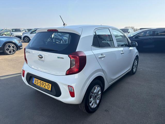 KIA PICANTO 1.0 CVVT EconomyPlusLine Airco, Bluetooth, Nieuw geleverd en dealeronderhouden