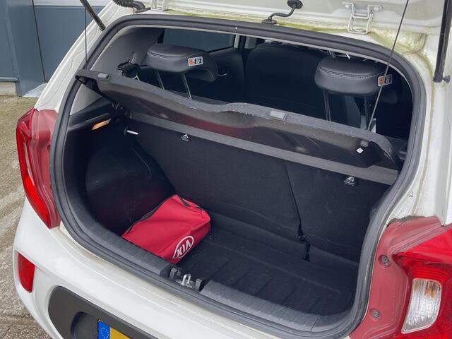 KIA PICANTO 1.0 CVVT Design Edition - Navigatie - Climate Control - Apple Carplay/Android Auto - Kuntlederen bekleding