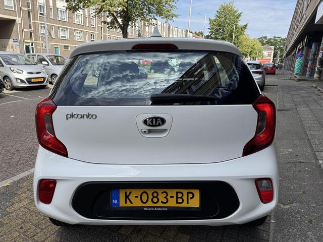 KIA PICANTO 1.0 DPi DynamicLine 97830KM! NAP | Apple Carplay | Cruise Control | Achteruitrijcamera | Lichmetalen Velgen | Dealeronderhouden |