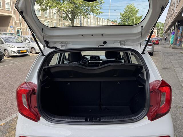 KIA PICANTO 1.0 DPi DynamicLine 97830KM! NAP | Apple Carplay | Cruise Control | Achteruitrijcamera | Lichmetalen Velgen | Dealeronderhouden |