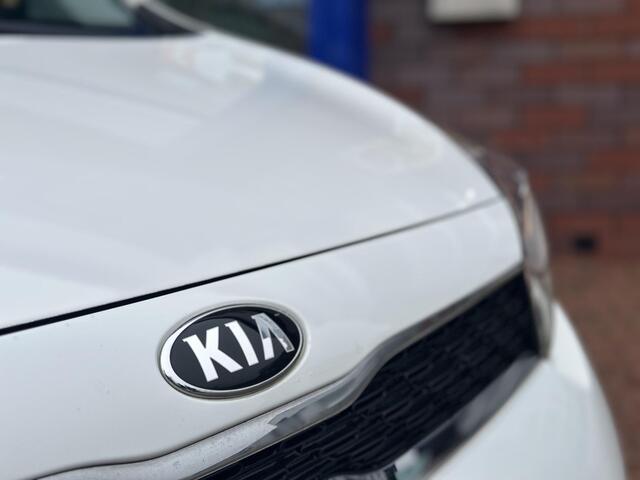 KIA PICANTO 1.0 MPi DynamicLine | Apple Carplay/Android Auto| Dealer onderhouden