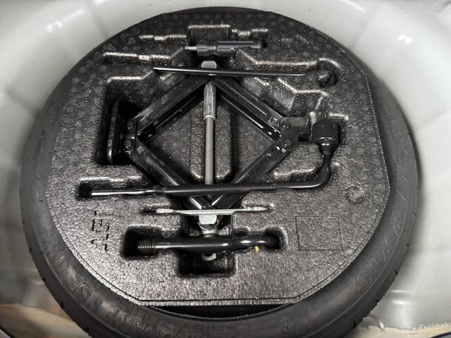 KIA PICANTO 1.0 DPi DynamicLine NW geleverd | Cruise | Camera | LM velgen