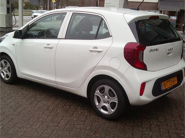 KIA PICANTO 1.0 DPi ComfortLine Staat in De Krim