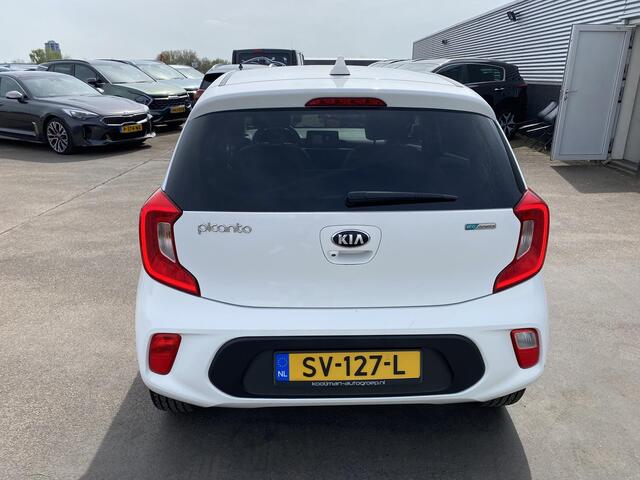 KIA PICANTO 1.0 CVVT Design Edition Navigatie, Lederen bekleding, Nieuw geleverd en dealeronderhouden, achteruitrij camera, Apple CarPlay/Android Auto, cruise control, Nederlandse auto, boekjes compleet!