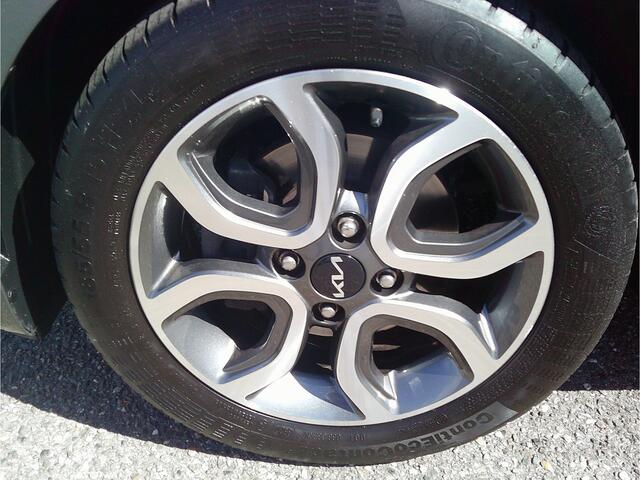 KIA PICANTO 1.0 DPi DynamicPlusLine Staat in Hardenberg