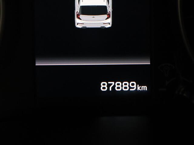 KIA PICANTO DPi DynamicPlusLine 67pk Camera | Cruise | Navi | Parkeersens. achter