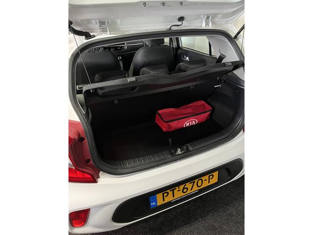 KIA PICANTO 1.2 CVVT First Edition AUTOMAAT/APPLE/CRUISE/CAMERA/ECC