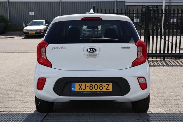 KIA PICANTO 1.0 CVVT Design Edition Achteruitrijcamera/Cruise control/Climate control/Lederen bekleding/Navigatie/Elektrisch inklapbare spiegels/Licht metalen velgen/Led dagrijverlichting