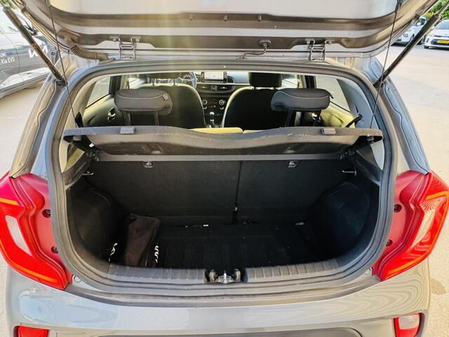 KIA PICANTO 1.0 DPi DynamicPlusLine NW geleverd & Onderhouden | Clima | Cruise | Camera | Keyless | Privacyglass | DAB+
