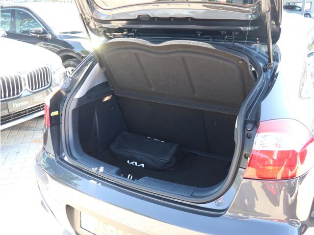 KIA RIO 1.2 CVVT DynamicLine I Navi I Trekhaak I LM-Velgen