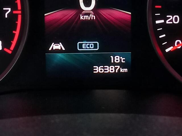 KIA Stonic 1.0 T-GDi MHEV DynamicLine Apple Carplay/Android Auto | Achteruitrijcamera