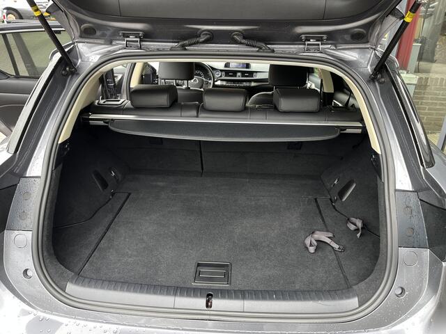 Lexus CT 200h Luxury Line