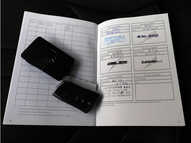 Lexus Es 300h F Sport Line | 360 Camera | Premium Navi | Dodehoek