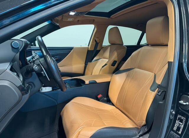 Lexus Es 300h President Line | Mark Levinson | 360' Camera | Carplay |
