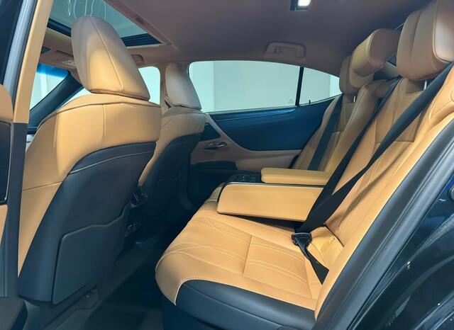 Lexus Es 300h President Line | Mark Levinson | 360' Camera | Carplay |