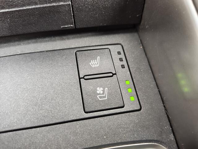 Lexus IS 300h Hybrid F-Sport Line | Navi | Dashcam v/a | Leder |