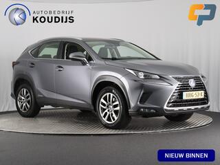 lexus-nx-300h-business-line-(camera