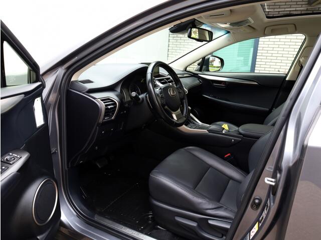 Lexus NX 300h AWD Sport Edition | Panoramadak | Leder | Apple Carplay