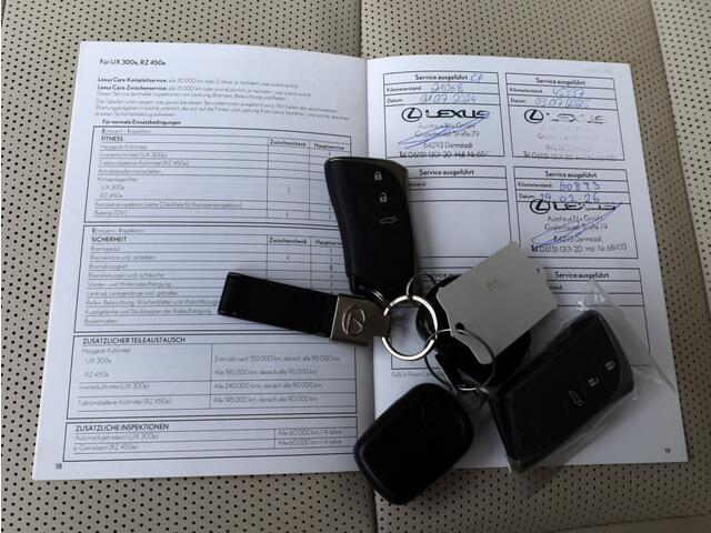 Lexus RX 450h+President Line