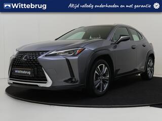 lexus-ux-250h-business-line--camer