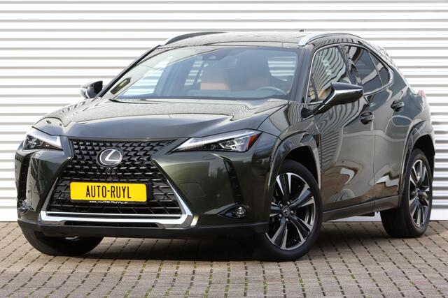 Lexus Ux 250h Executive President Schuifdak