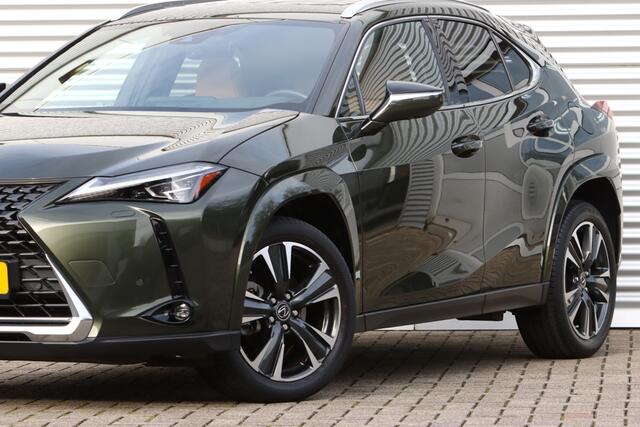 Lexus Ux 250h Executive President Schuifdak