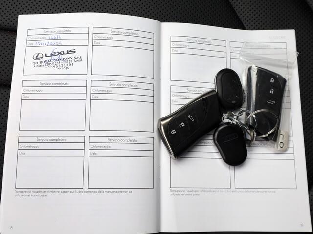 Lexus Ux 250h F Sport Line Premium | Head-Up | Vol Leder