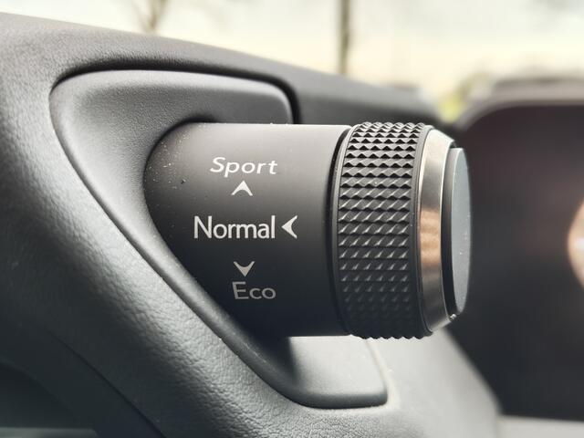 Lexus Ux 250h Business Line | Trekhaak | Navi | Keyless Entry & Start