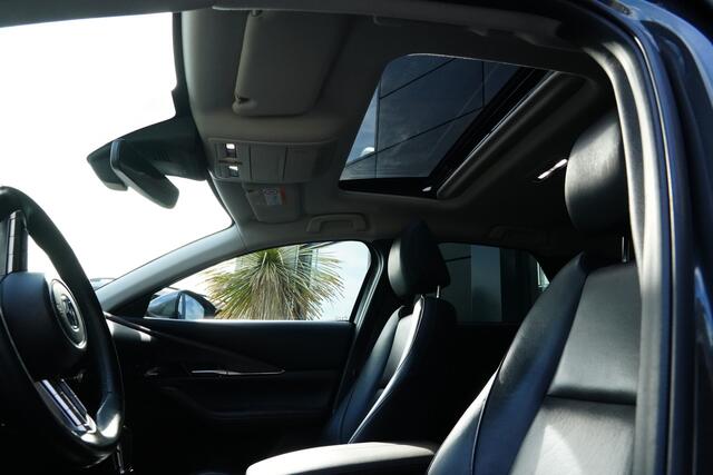 Mazda CX-30 2.0 e-SkyActiv-X M Hybrid Luxury 180pk Schuifdak/Navigatie/360Camera