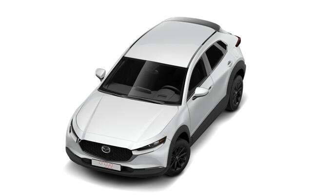 Mazda CX-30 Exclusive-Line Business Edition | 18-inch lichtmetalen velgen, Silver | 360° View Monitor | 7-inch digitale meterset