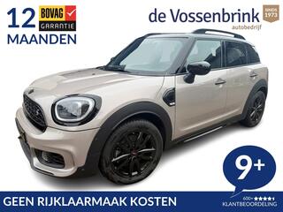 mini-countryman-2.0-cooper-s-rockin