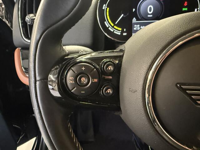 Mini COUNTRYMAN 2.0 Cooper SE ALL4 Leder/Camera/Apple