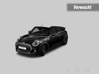 mini-cabrio-1.2-chili,led,half-leer