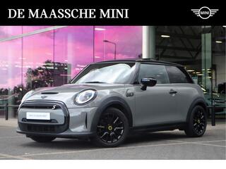 mini-electric-classic---panoramadak