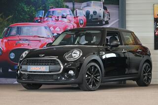 mini-one-mini-1.5-salt-automaat