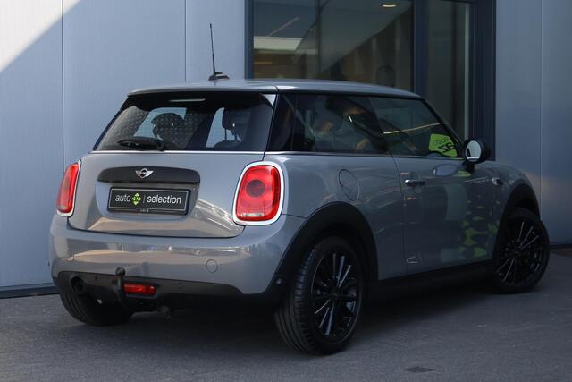 Mini ONE Mini 1.5 Salt Business