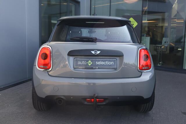 Mini ONE Mini 1.5 Salt Business