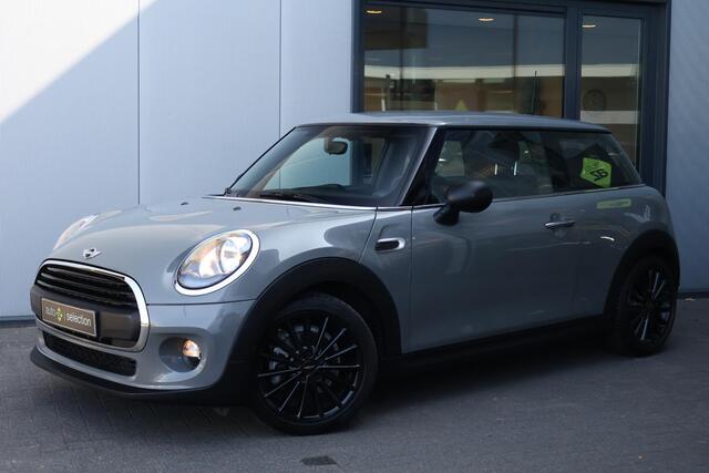 Mini ONE Mini 1.5 Salt Business