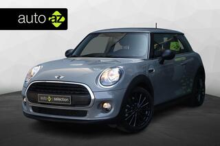 mini-one-mini-1.5-salt-business