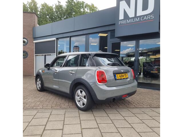 Mini ONE Mini 1.2 Salt Business