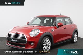 mini-one-mini-1.2-salt-business