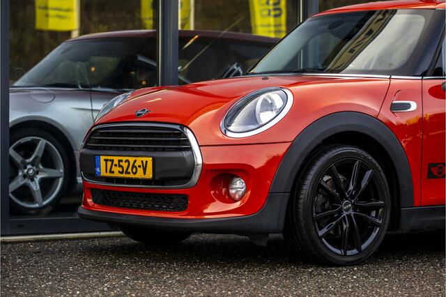 Mini ONE Mini 1.5 Pepper