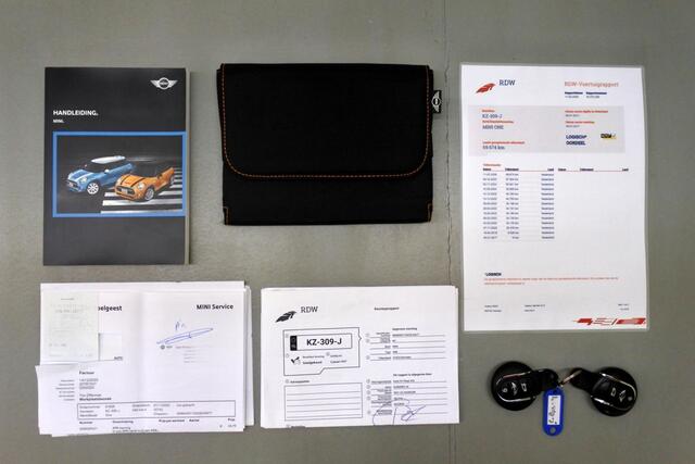 Mini ONE Mini 102pk BNS NL/NAP/Panorama/Navi/Moonwalk/Unionjack lights