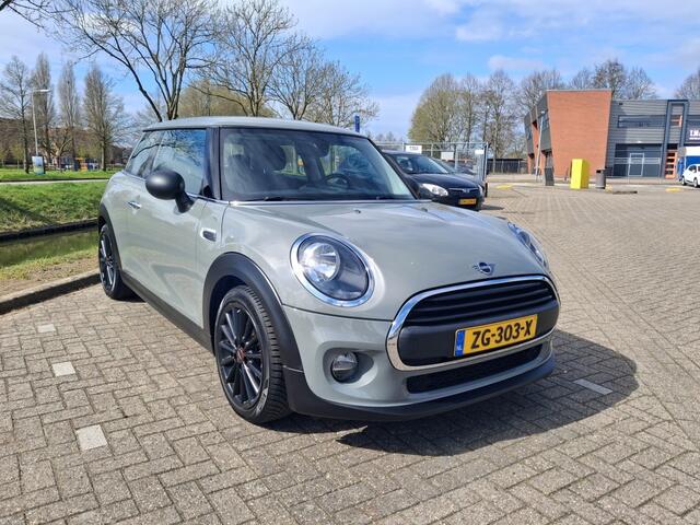 Mini ONE Mini 1.5 Salt