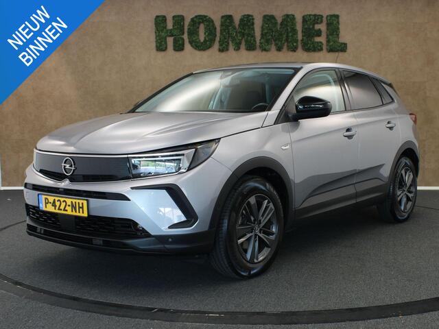 Opel Grandland 1.2 Turbo Business Edition - ORIGINEEL NEDERLANDSE AUTO - AFNEEMBARE TREKHAAK (TREKGEWICHT 1400 KG GEREMD) - CRUISE CONTROL - CLIMATE CONTROL - EXTRA GETINT GLAS - APPLE CARPLAY/ANDROID AUTO
