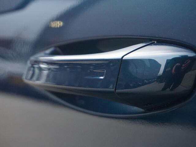 Opel Grandland Electric GS 73 kWh Panoramadak