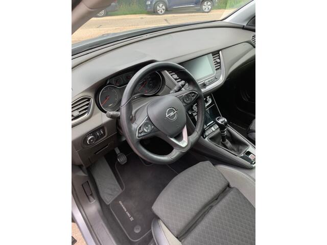 Opel Grandland X 1.2 TURBO BUS. EX. ECC PANARAMADAK NIEUWSTAAT